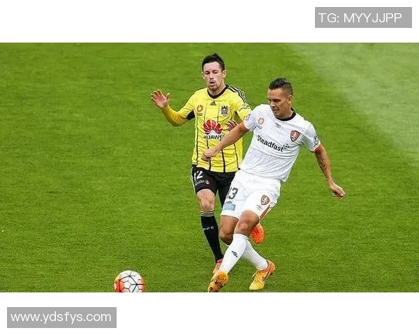 今日西部联迎战惠灵顿期待精彩对决与激烈竞争